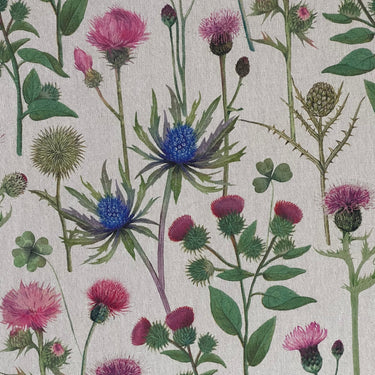 Botanical wild thistle and blue eryngium printed cotton-linen fabric in pink, green and cream tones – ideal for curtains, Roman blinds and cushions